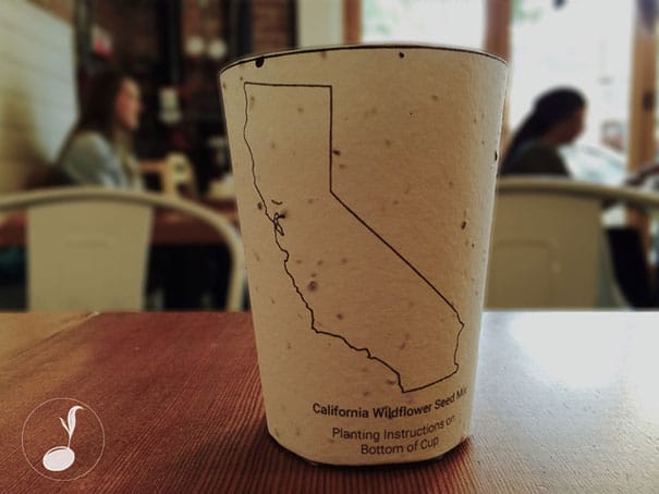 biodegradable-plantable-coffee-cup-reduce-reuse-grow-5