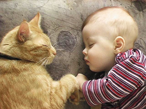 kids-with-cats-21__605