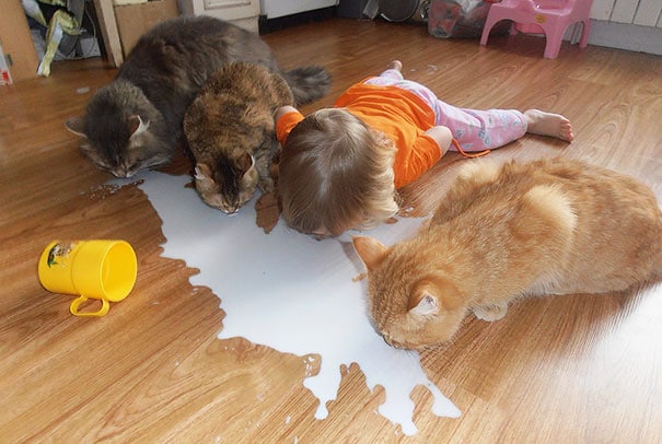 kids-with-cats-47__605
