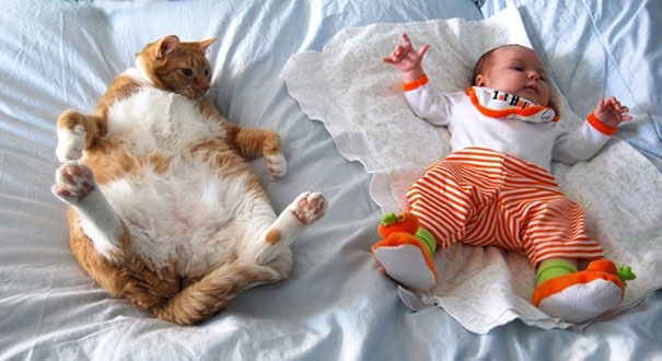 kids-with-cats-605