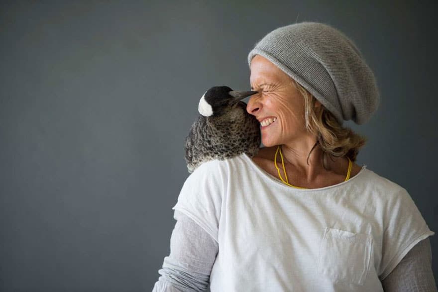 penguin-magpie-rescue-friendship-bloom-family-australia-19
