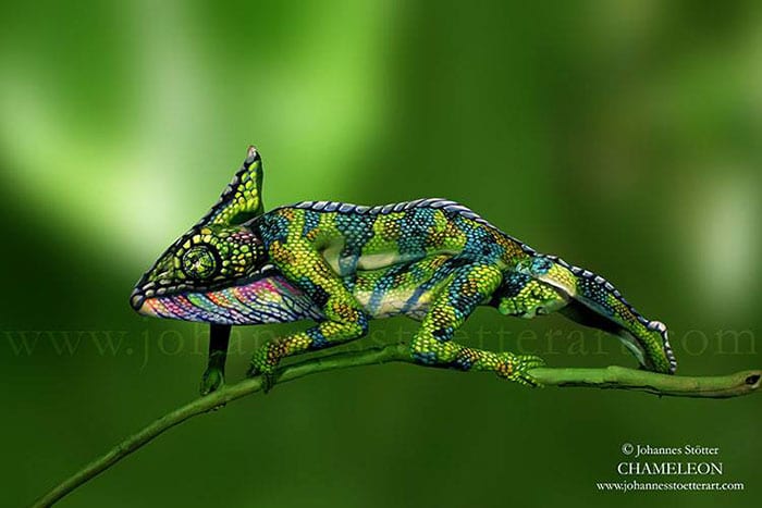 chameleon-body-painting-optical-illusion-johannes-stotter-2